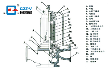 屏蔽泵的結構圖