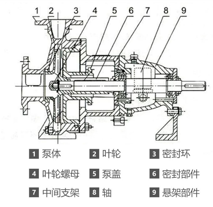 IH化工離心泵的結構圖